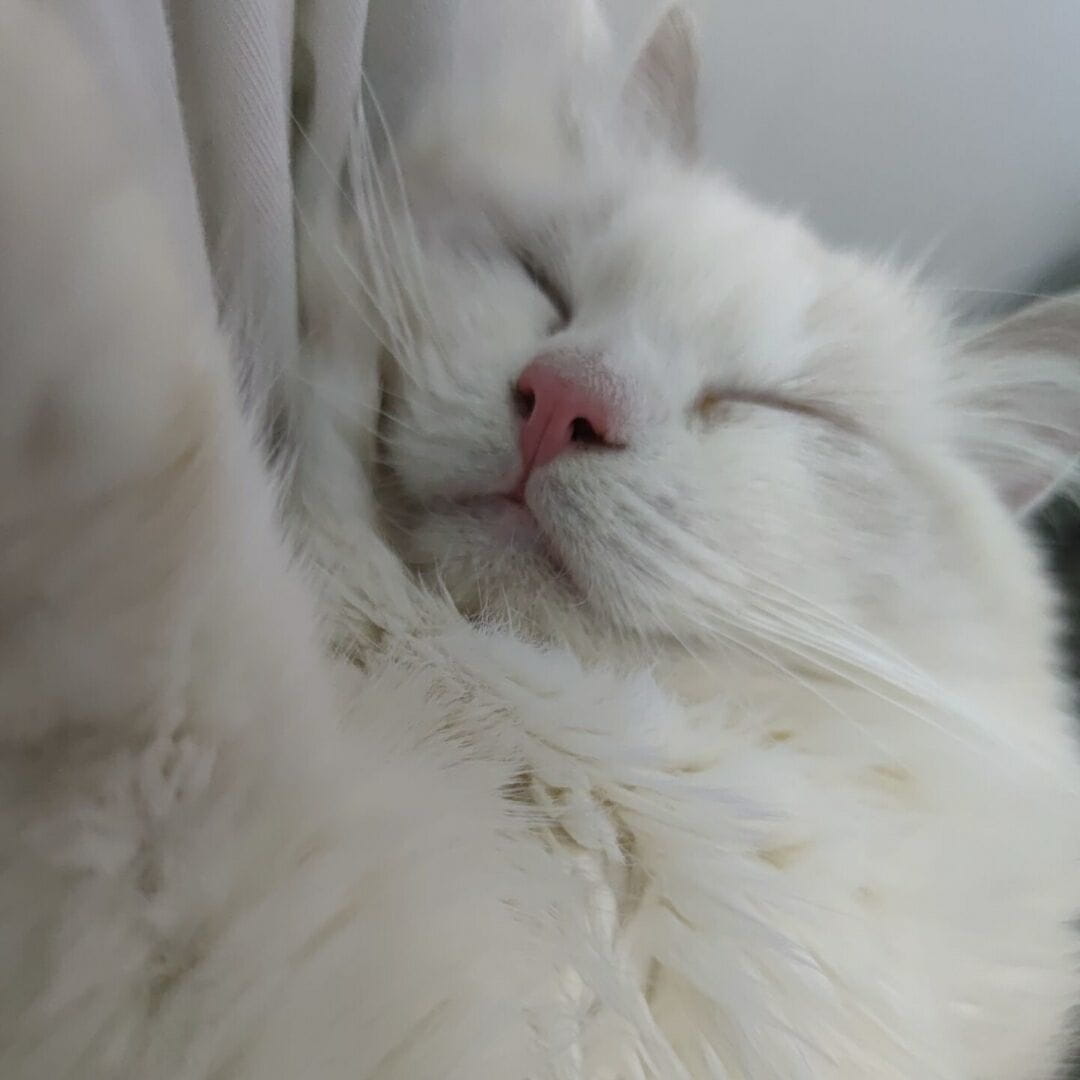 NodeJs爬取腾讯企业邮件及附件